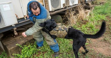 An Australian Army military working dog engages a professional K9 decoy during the Irondog K9 Adaptive Deployment Workshop at Rakula in the Northern Territory. Story by Lieutenant Colonel Carrie Robards. Photos by Captain Jeremy Wikner.