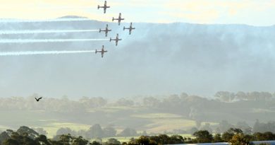 The Roulettes at Wings Over Illawarra 2016. Photo by Brian Hartigan