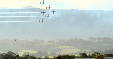 The Roulettes at Wings Over Illawarra 2016. Photo by Brian Hartigan