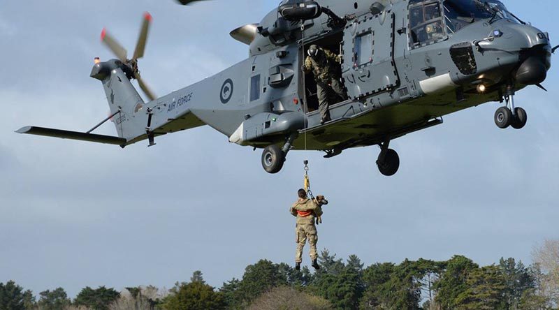 New Zealand Military working dogs get helicopter training. NZDF photos