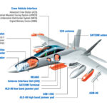 Growler cutaway