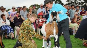 Leading Cadet Aiden Carling (602 Squadron) was called up for the goat milking competition. Observing in the background, in Flying Dress, is Leading Cadet Ben Carter (LCDT Carter qualified for his Solo Gliding Badge in 2014). Image contributed by Stephen Kiley, a retired B777 Captain, late of Singapore Airlines.