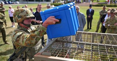 A soldier performs the box lift and place section of the physical employment standards assessment during a demonstration at Russell Offices in Canberra. Photo by Leading Seaman Paul Berry.