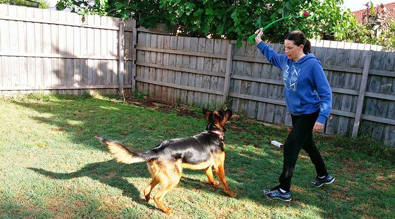 If you own a dog obsessed with fetch, plastic ball throwers are great