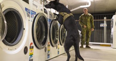 Australian Army Explosive Detection Dog Karma and his handler Sapper Kaegan Summers from the 2nd Combat Engineer Regiment search a Commonwealth Games athlete’s village laundry for suspicious items. Photo by Sergeant W Guthrie.