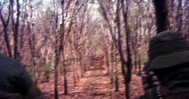 A rubber plantation, with perfect firing lines – in limited directions.