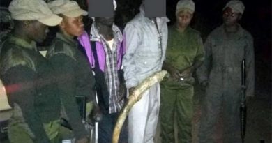 Akashinga warriors with two suspected poachers they arrested, with illegal ivory. IAPF photo.