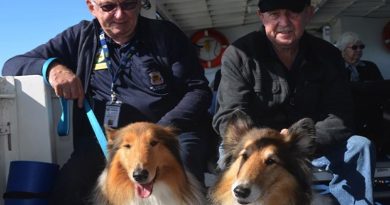 A couple of Aussie veterans with their service dogs.