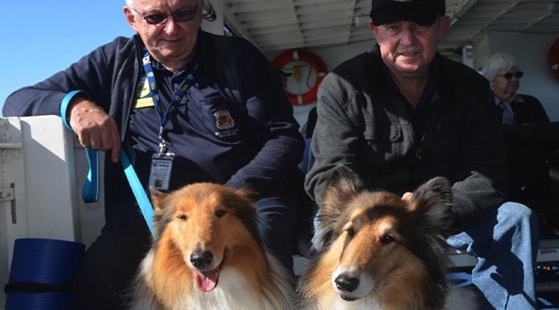 A couple of Aussie veterans with their service dogs.