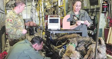 Major Kendall Crowker, Flight Lieutenant Scott Glading and Leading Aircraftwoman Telisha Glading tend to a pretend military working dog on a RAAF aeromedical evacuation flight. Story and photo from ARMY newspaper.