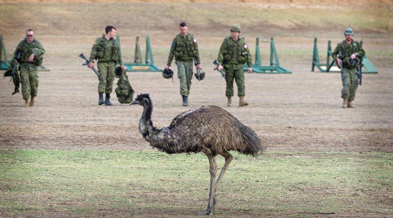 The Canadian shooting team walks back from the range during a shoot at AASAM 2019. Photo by Lance Corporal Matthew Magilton.