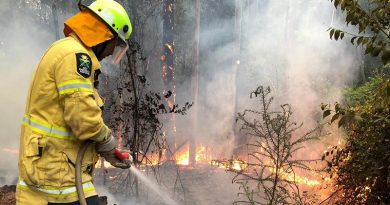 A New Zealand Defence Force firefighter works to control bush fires near Wauchope, New South Wales. NZDF photo.