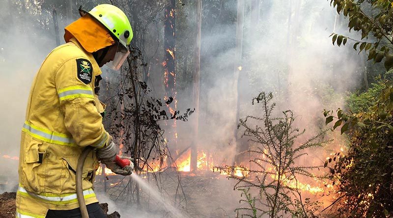 A New Zealand Defence Force firefighter works to control bush fires near Wauchope, New South Wales. NZDF photo.