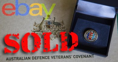 Veteran lapel pin sold on eBay for more than $5000.