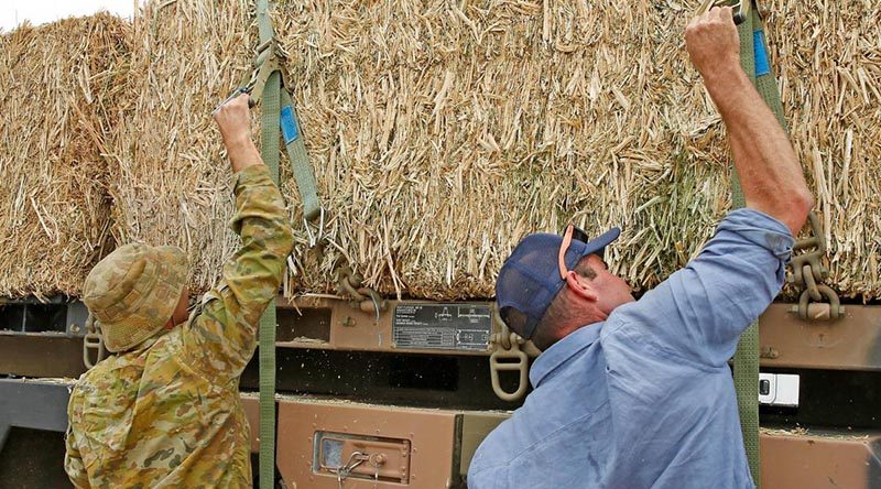 Private Shaun Whitehurst and Cooma farmer George Walters load fodder onto Private Whitehurst's truck for distrution to farmers on the New South Wales south coast. Photo by Sergeant Dave Morley.