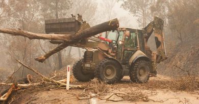 Plant operators Cpl Duncan Keith and Sapper Ian Larner of the 22nd Engineer Regiment use a 434 backhoe to assist staff from Forestry Management Victoria to clear fire-damaged trees from the Great Alpine Road between Bairnsdale and Omeo during Operation Bushfire Assist 19-20. Photo by Private Michael Currie.