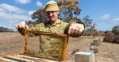 Former bee keeper Trooper Daniel Byford from the 1st Armoured Regiment checks one of more around 800 beehives damaged or destroyed in the Kangaroo Island bushfires. Photo by Corporal Tristan Kennedy.