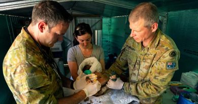 Australian Army veterinarian Captain Garnett Hall (left), Kangaroo Island Wildlife Park owner Dana Mitchell and Private Alexie Tarasov from the 10th/27th Battalion, Royal South Australia Regiment, bandage one of many koalas that suffered burns at the park during the bushfires. Photo by Corporal Tristan Kennedy.