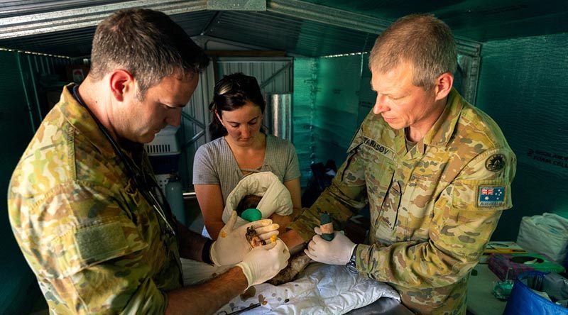 Australian Army veterinarian Captain Garnett Hall (left), Kangaroo Island Wildlife Park owner Dana Mitchell and Private Alexie Tarasov from the 10th/27th Battalion, Royal South Australia Regiment, bandage one of many koalas that suffered burns at the park during the bushfires. Photo by Corporal Tristan Kennedy.