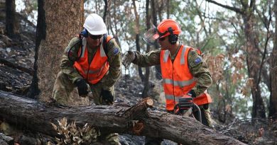 Sapper Tim Daniels, right, discusses with Sapper Aemon Kelly the best way of cross-cutting a fallen tree blocking Commission Road in Wollemi National Park south of Bulga, NSW. Photo by Major Cameron Jamieson.