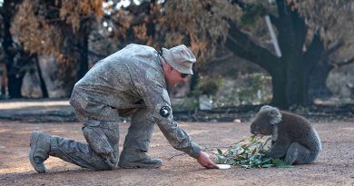 A soldier from New Zealand Army’s 2ER gives water to a Koala while the unit assisted ADF members at Kangaroo Island’s Hanson Bay Wildlife Reserve.