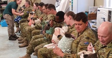 16 Regiment Emergency Support Force soldiers help feed koalas at Cleland Wildlife Park, Adelaide, South Australia.