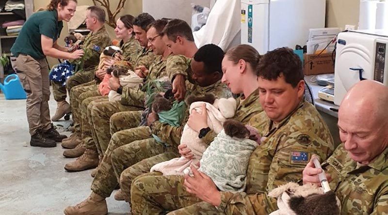 16 Regiment Emergency Support Force soldiers help feed koalas at Cleland Wildlife Park, Adelaide, South Australia.