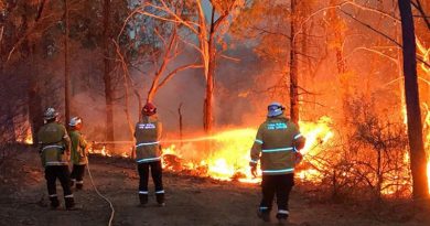 Lieutenant Matt Urquhart from HMAS Albatross fights a fire on the New South Wales south coast as a member of the NSW Rural Fire Service, during the 2019-20 Australian bushfire crisis.