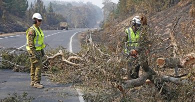 Sappers Kane Sorrell (on chainsaw) and David Mercuri from Brisbane-based 2 Squadron, 2nd Combat Engineer Regiment, help make the Monaro Highway safe. Photo by Sergeant Dave Morley