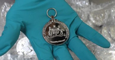 The front of a replica Australian Defence Medal – one of thousands confiscated when they were imported with a permit to use the Commonwealth Coat of Arms. ABF photo.