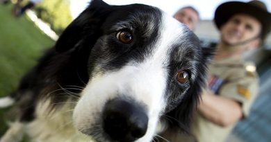 Australian Army Military Working Dog Handler Sergeant Stuart Conlin and his dog Trip at the Australian War Memorial in Canberra for the Military Working Dogs Memorial Dedication. Photo by Jay Cronan.