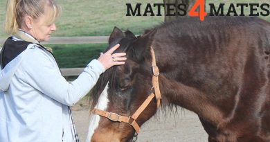 Mates4Mates offer five-day equine therapy programs, facilitated by Equine Encounters Australia, for both individual Mates and couples who have service-related physical injuries or mental illness.