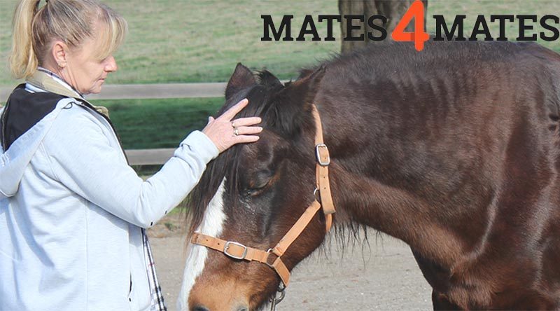 Mates4Mates offer five-day equine therapy programs, facilitated by Equine Encounters Australia, for both individual Mates and couples who have service-related physical injuries or mental illness.