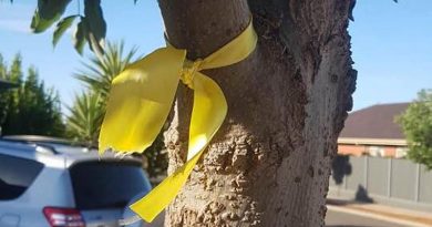 A yellow ribbon represents a veteran who has taken his own life.