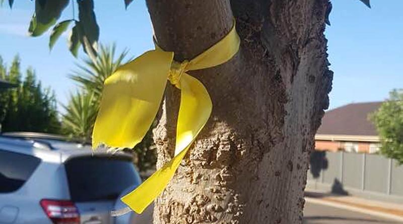 A yellow ribbon represents a veteran who has taken his own life.