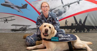 Hooper, the workplace welfare dog, receives a pat from Squadron Leader Lauretta Searle during Hooper's visit to the Air Force 2021 office at RAAF Base Fairbairn. Photo by Corporal Kylie Gibson.