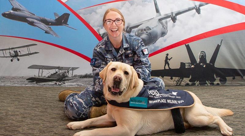 Hooper, the workplace welfare dog, receives a pat from Squadron Leader Lauretta Searle during Hooper's visit to the Air Force 2021 office at RAAF Base Fairbairn. Photo by Corporal Kylie Gibson.