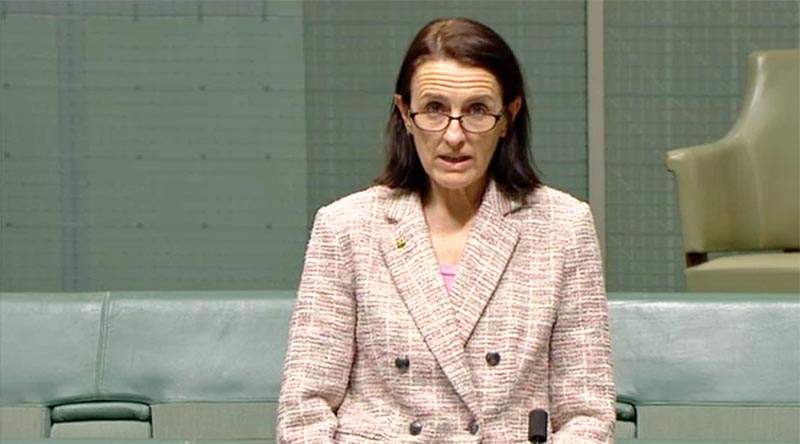 Celia Hammond MP delivers a speech in Parliament in support of SAS.