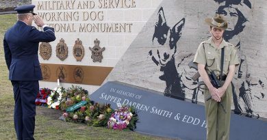 Commander Combat Support Group, Air Commodore Tim Innes, representing the Chief of Air Force, salutes the fallen after laying a wreath at the Military and Service Working Dog National Memorial. Photo by Corporal Peter Borys.