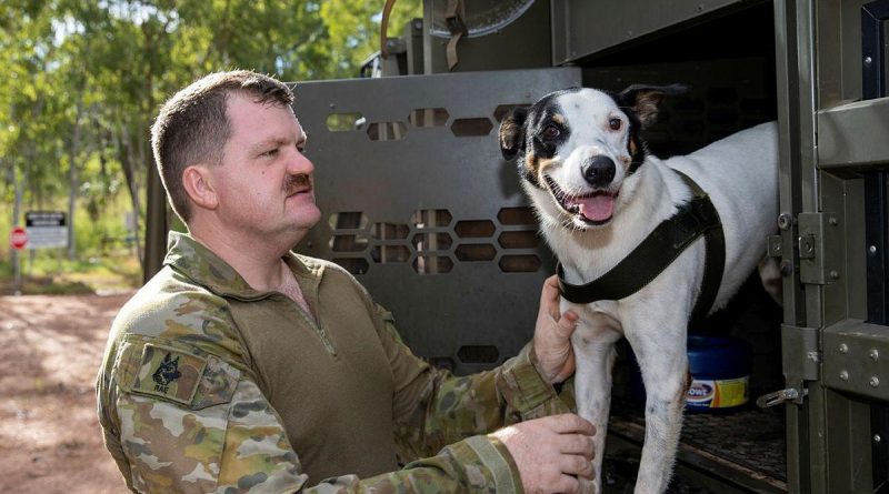 Explosive Detection Dog, Cheese, of the 1st Combat Engineer Regiment, and his handler Sapper Luke Saxton prepare for a search task during training at Kangaroo Flats Training Area, NT. Photo by Corporal Rodrigo Villablanca.