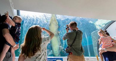 Visitors to Defence Community Organisation Crocosaurus Cove family day watch a saltwater crocodile swim laps in its tank in Darwin. Story and photo by Private Jacob Joseph.