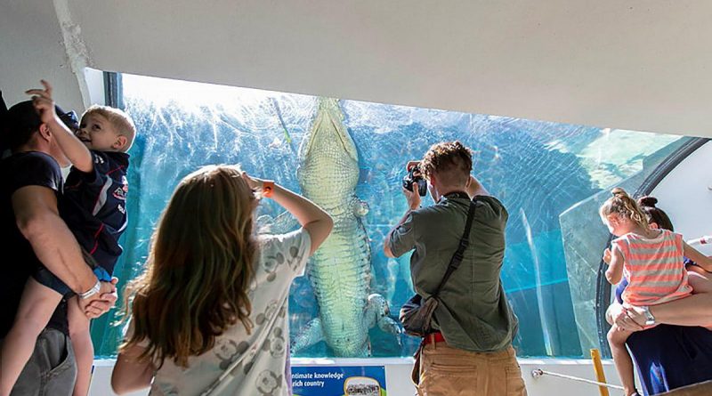 Visitors to Defence Community Organisation Crocosaurus Cove family day watch a saltwater crocodile swim laps in its tank in Darwin. Story and photo by Private Jacob Joseph.
