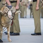 8th/9th Battalion Birthday Celebrations