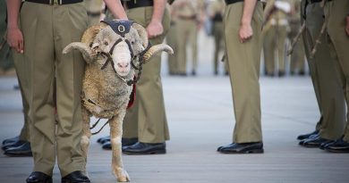 Battalion mascot, Corporal John MacArthur IV – aka ‘Stan the Ram’ – on parade to mark the 41st birthday of the Australian Army 8th/9th Battalion, Royal Australian Regiment, at Gallipoli Barracks in Brisbane. Photo by Corporal David Cotton.