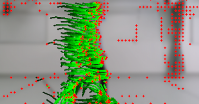 Motion detection and tracking of a person in video sequence using optical flow.