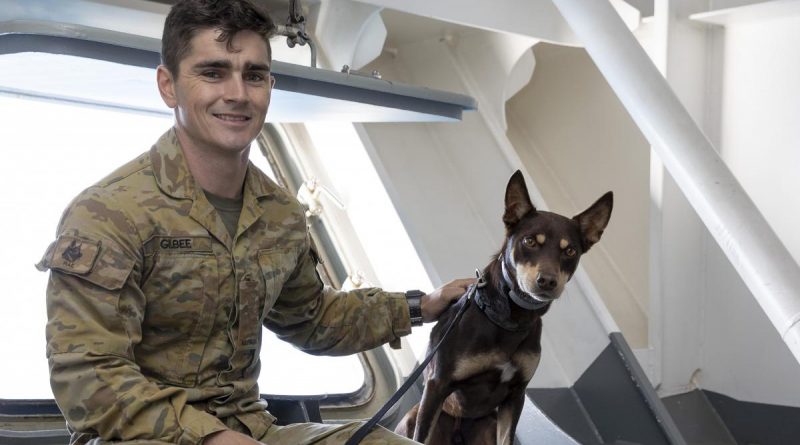 Australian Army Soldier Sapper Dalton Gilbee and Explosives Detection Dog Archie from 3rd Combat Engineering Regiment onboard HMAS Canberra, during Exercise Talisman Sabre 2021. Story by Captain Dan Mazurek. Photo by Leading Seaman Imagery Specialist Nadav Harel.