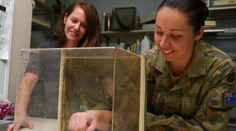 Army scientific officer Captain Lisa Rigby, right, feeds mosquitoes as part of her research. Story by Captain Annie Richardson.