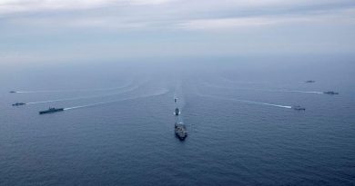 USS Carl Vinson, JS Kaga, HMAS Sirius, INS Satpura, USS Lake Champlain, INS Ranvijay, JS Murasame, USS Stockdale and HMAS Ballarat break from a formation sail during Exercise Malabar. Photo by Leading Seaman Ernesto Sanchez.