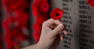 A poppy being placed on the roll of honour at the Australian War Memorial in Canberra. Story by Private Jacob Joseph. Photo by Corporal Nunu Campos.