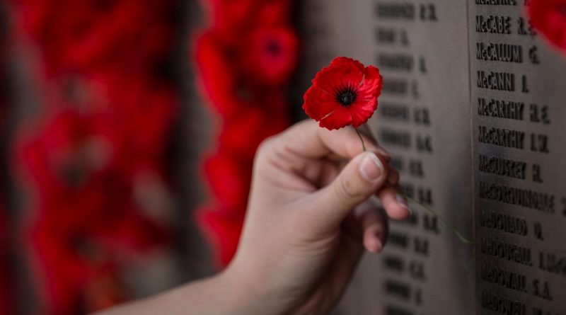 A poppy being placed on the roll of honour at the Australian War Memorial in Canberra. Story by Private Jacob Joseph. Photo by Corporal Nunu Campos.
